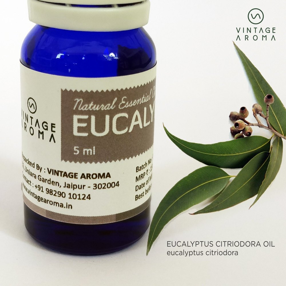Eucalyptus Oil