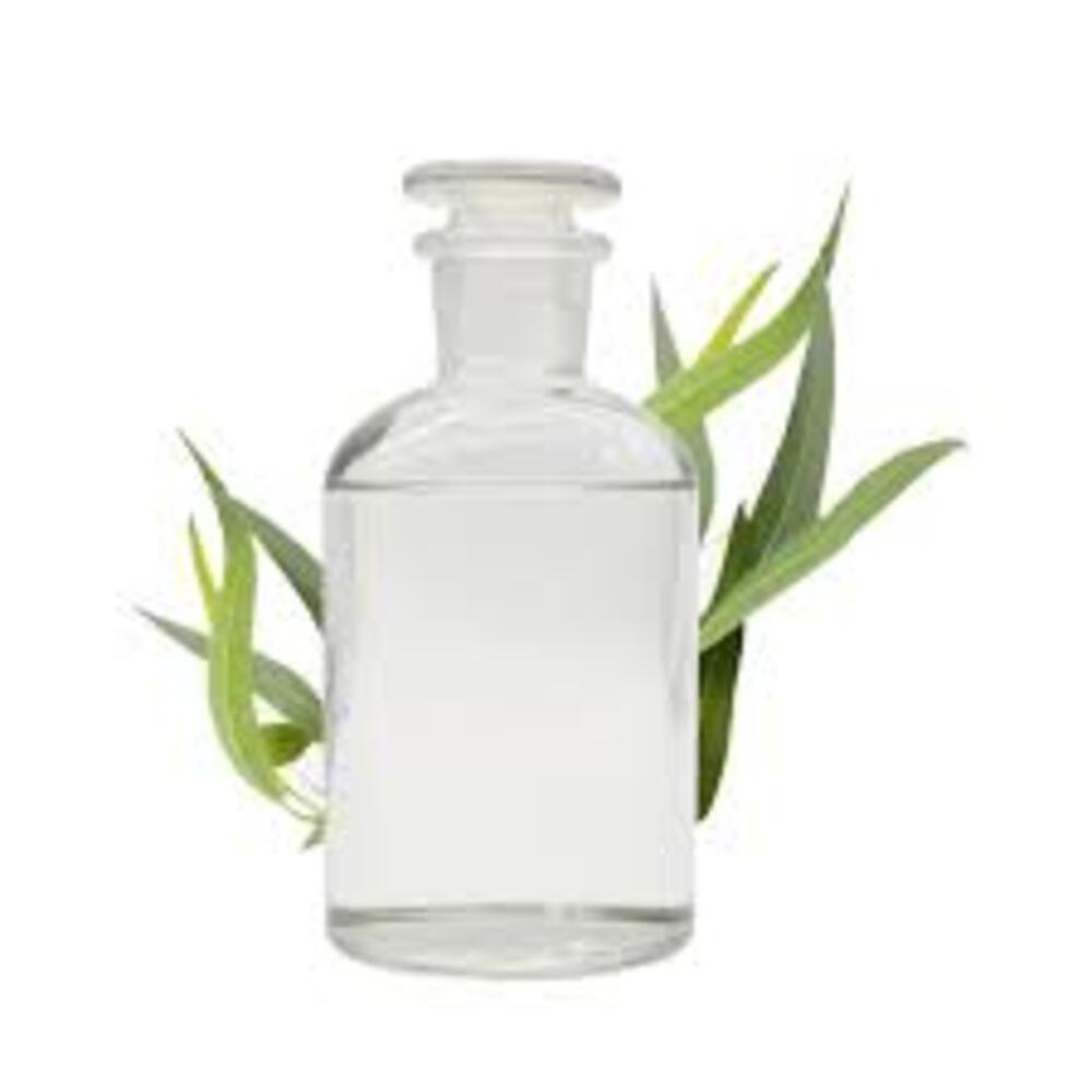 Eucalyptus Oil