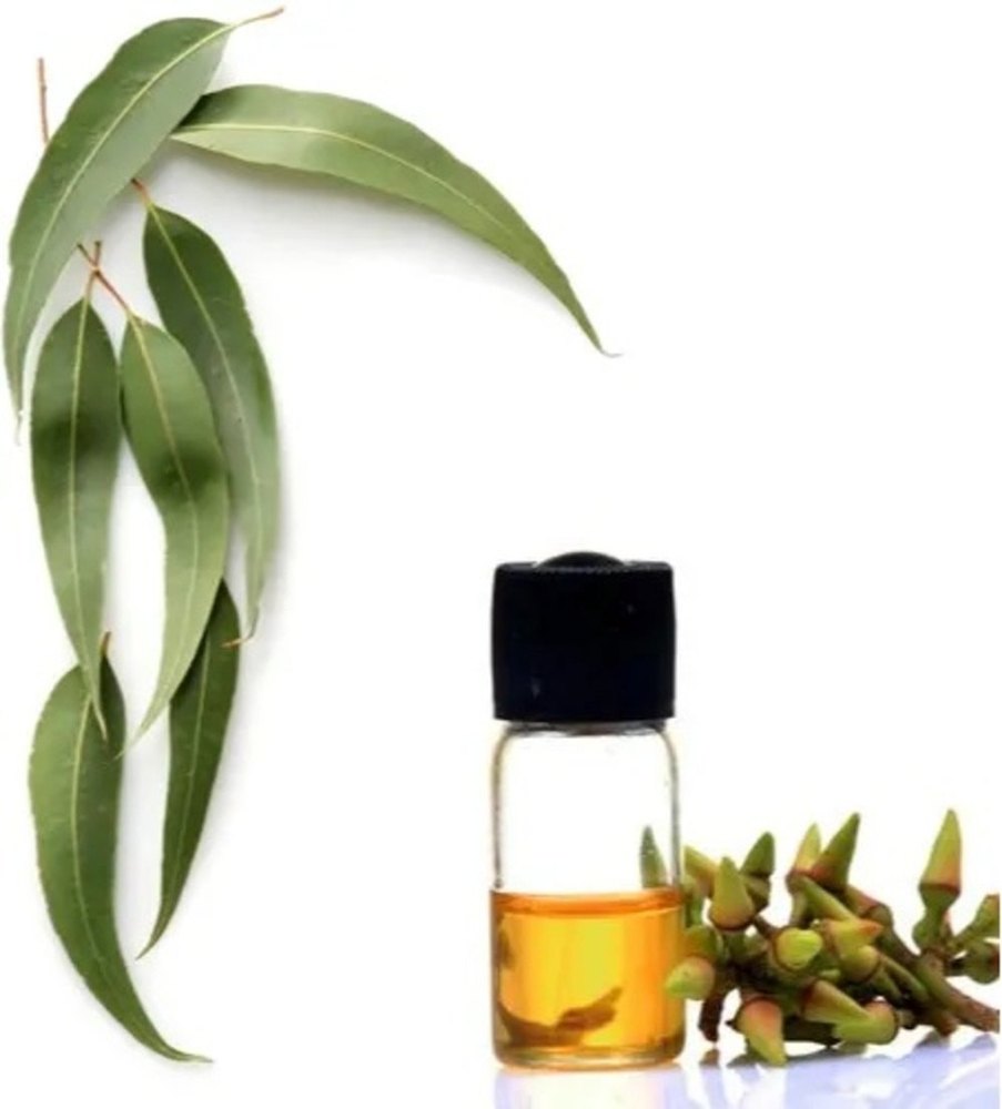 Eucalyptus Globules Oil