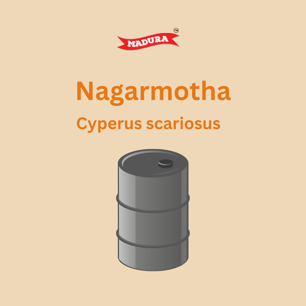 Cypriol Nagarmotha Oil