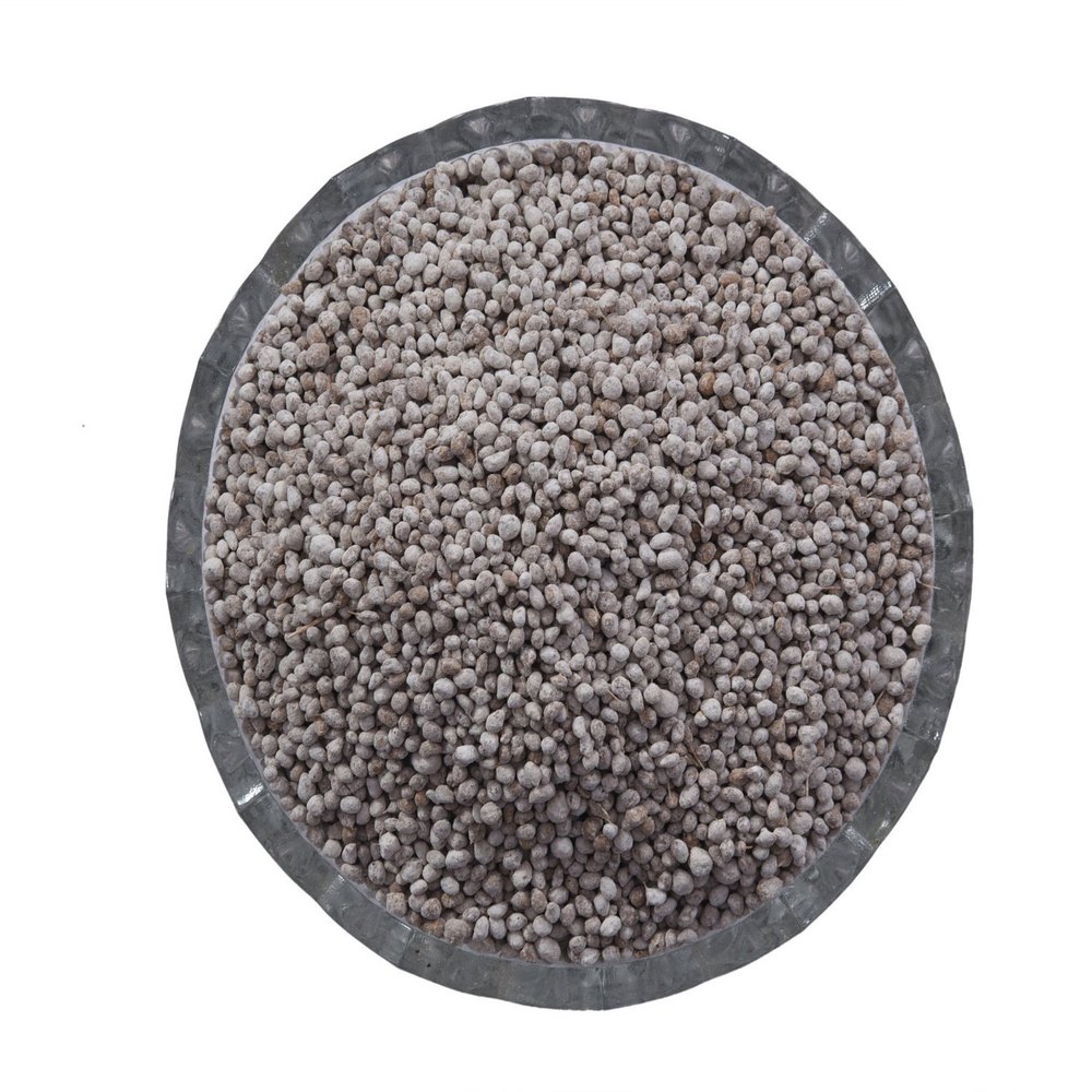 Ayurvedic Ajwain Pachak Goli, For Digestion