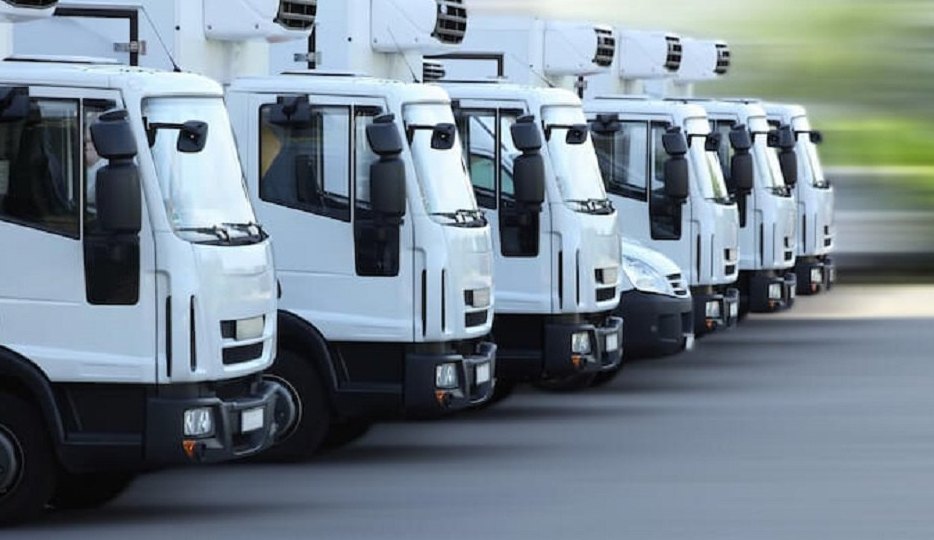 Food Transport Service