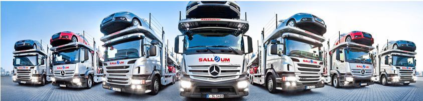 Automotive Logistic