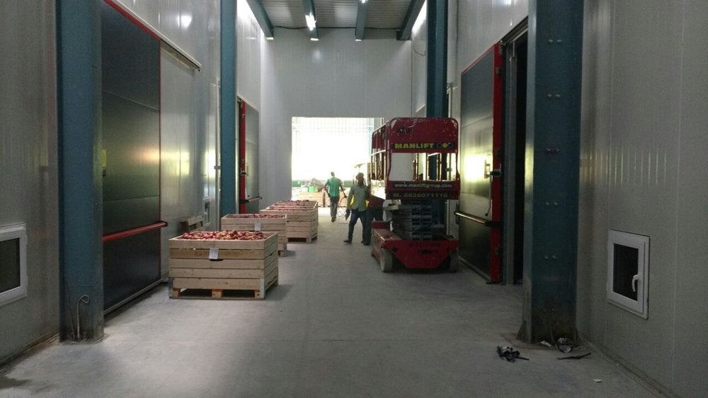 Capacity: 500 Mt To 10000 Mt Controlled Atmosphere Storage
