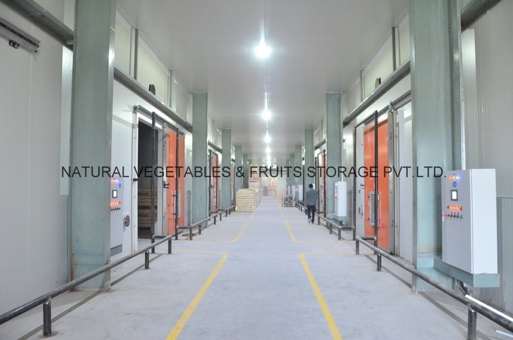 Controlled Atmosphere Cold Storage