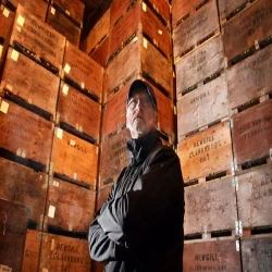 Controlled Atmosphere Cold Storage Consultant