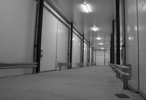 Controlled Atmosphere Cold Storage