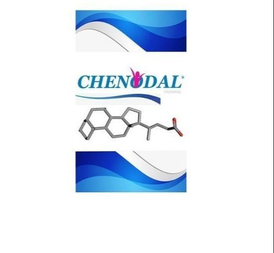 250 mg Chenodal Tablet, Packaging Size: 100 Tablet/Box