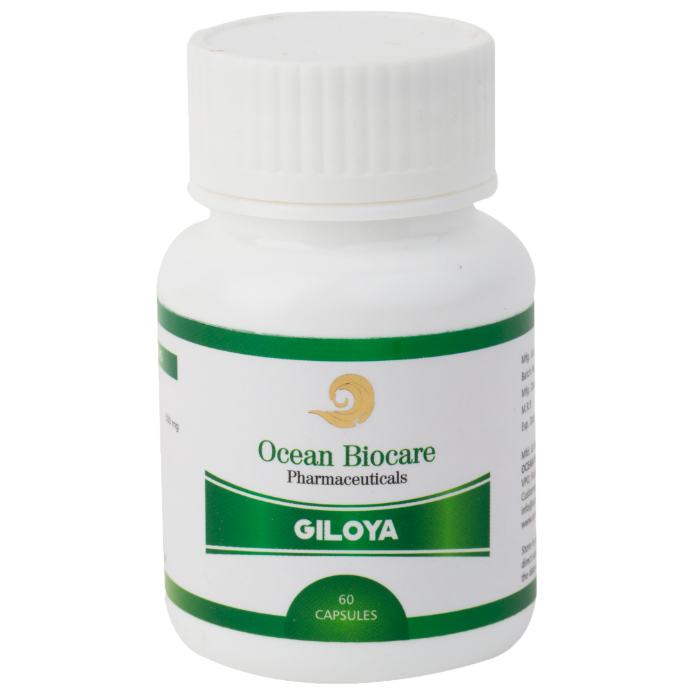 500 mg Giloya Capsule for Clinical, Packaging Size: 60 Caps