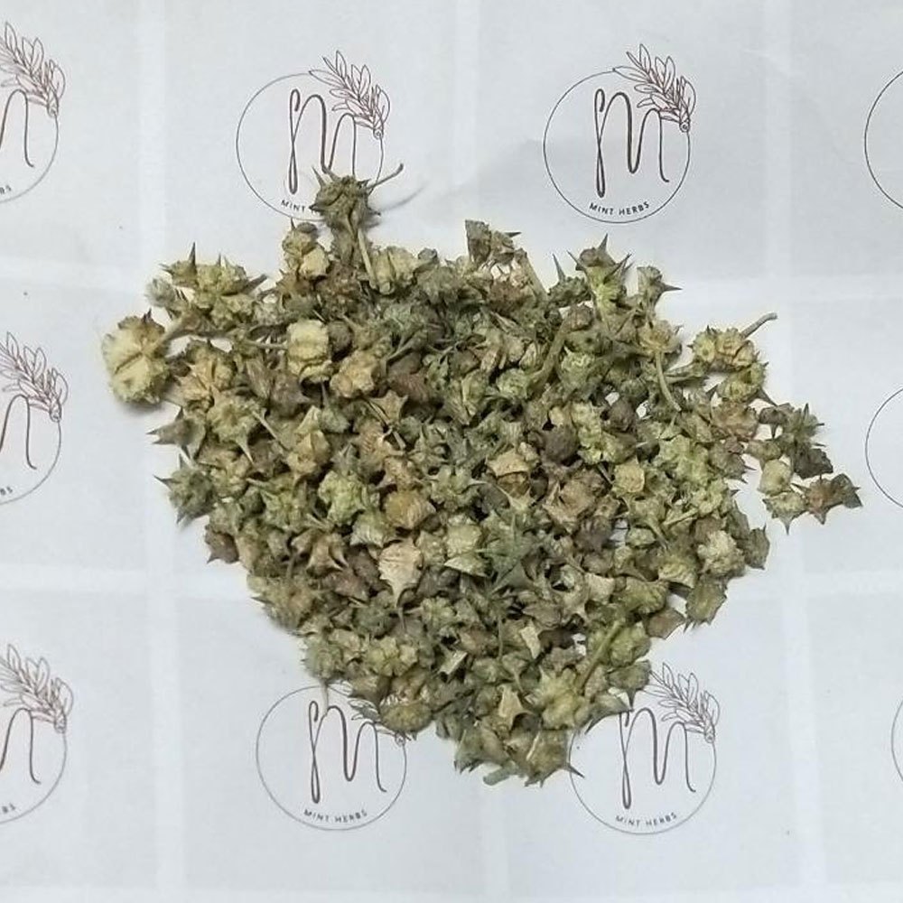 Boost Energy Dried Tribulus Terrestri