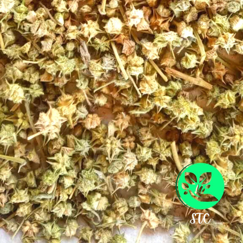 Dried Green Tribulus Terrestris Gokhru, For Neurological Disease, Packaging Size: 40 kg