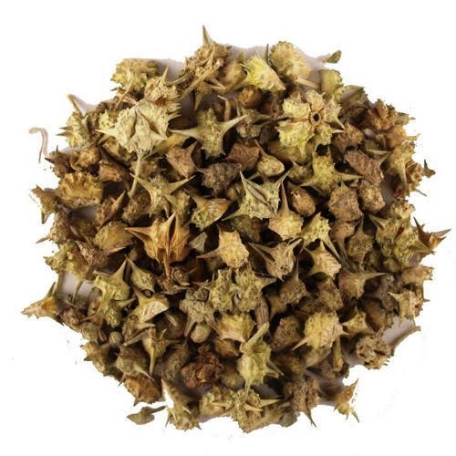 Tribulus Terrestris Gokhru , Gokhru Seeds , Puncture Vine ,