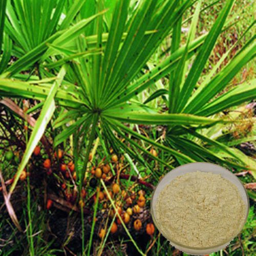 Natural Saw Palmetto, 25kg Drum