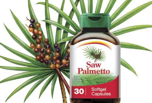 Saw Palmetto, Packaging Type: Hdepe Drum Aluminium Packing