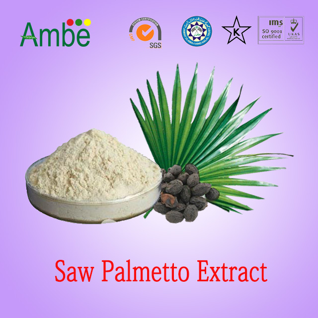 Ambe Saw Palmetto Powder, Packaging Type: Hdpe Drum, Pack Size: 25 Kg