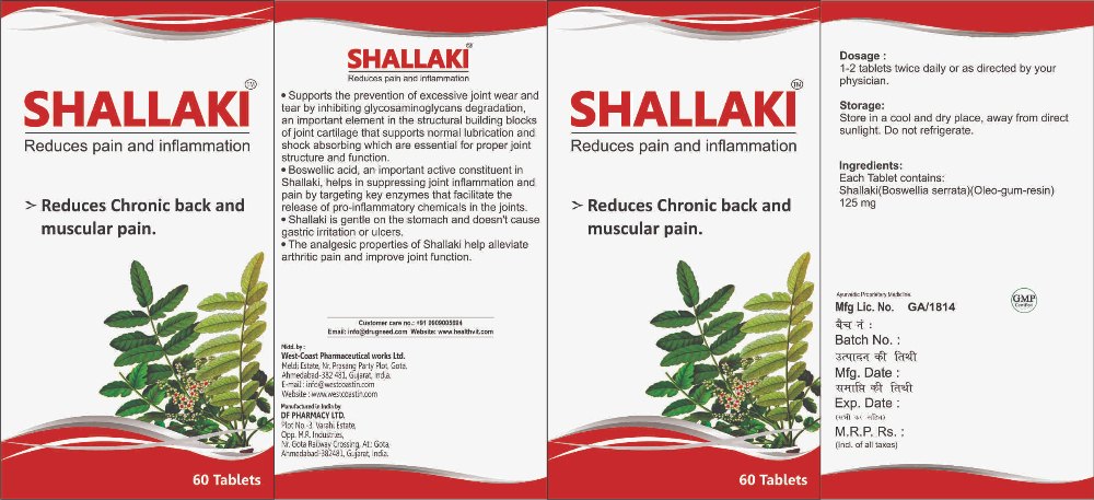 Shallaki Syrup, Packaging Type: Box, Packaging Size: 60 Tablets