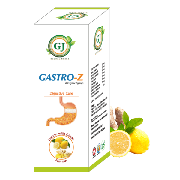 Gastro- z Syrup, Treatment: Helps To Cure Ulcer, Packaging Type: Bottle