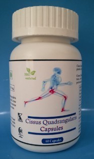 Cissus Quadrangularis Capsule Suppliers