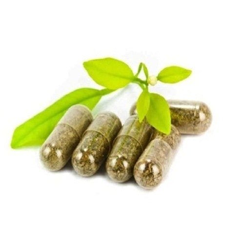 Shatavari Capsules, Packaging Type: Box
