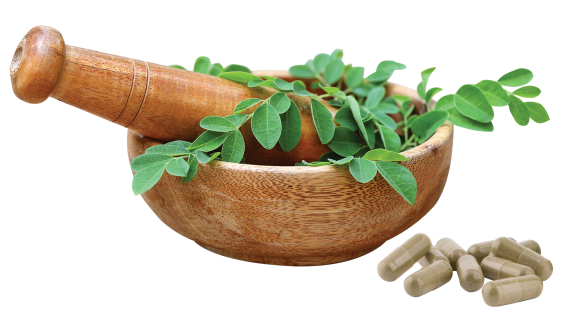 Herbal PCD Pharma Franchise For Delhi