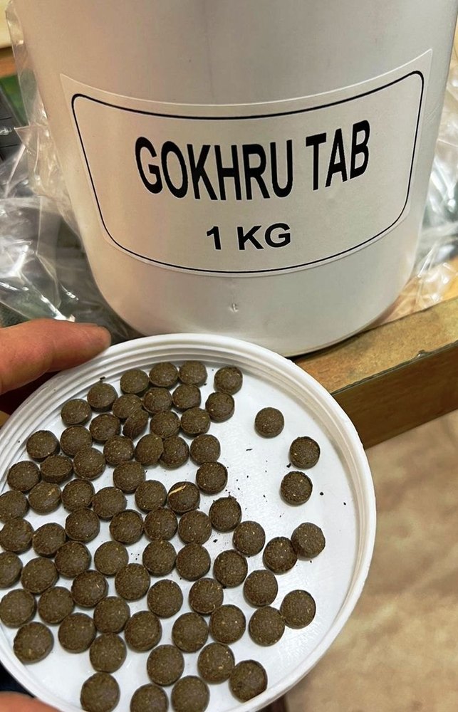 Gokhru Tablet ., 500gm & above