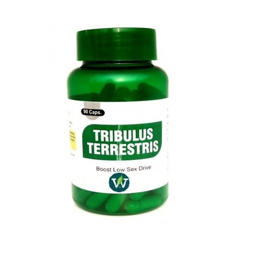 Tribulus Terrestris Capsule, 90 Capsule, Packaging Type: Bottle