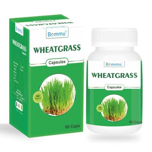 Bommu Wheat Grass Capsules, Packaging Type: Bottle