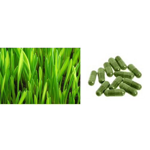 Barely Grass Capsule, Usage: Clinical