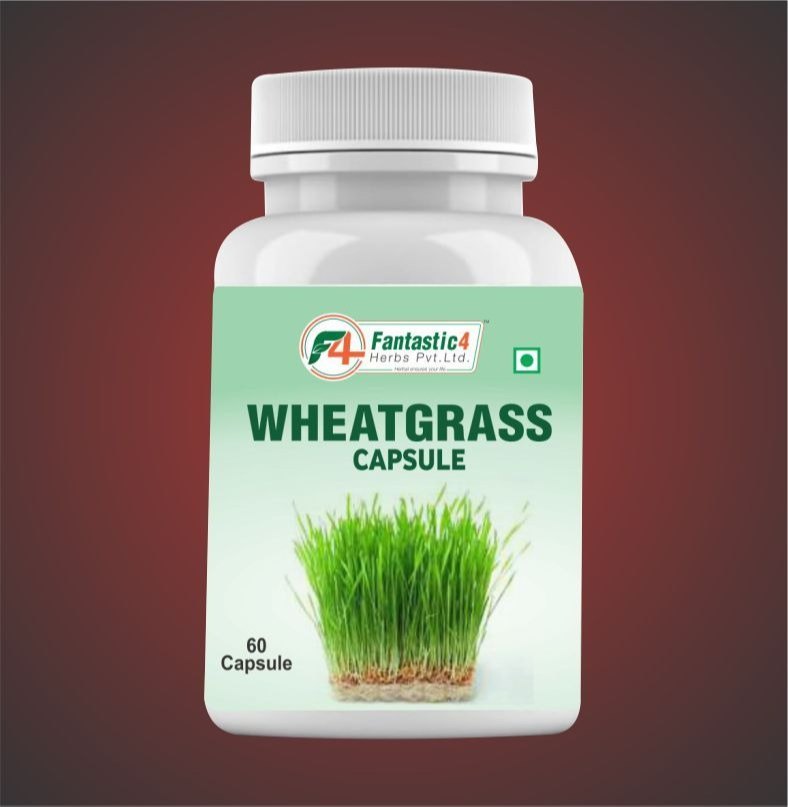 Herbal Wheatgrass Capsule, 60 Capsules