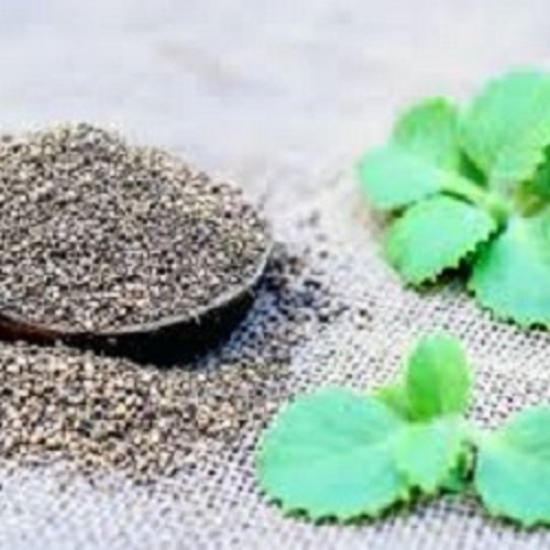 Digestion Ajwain Herbal Capsules, For Oral, Grade Standard: Food Grade