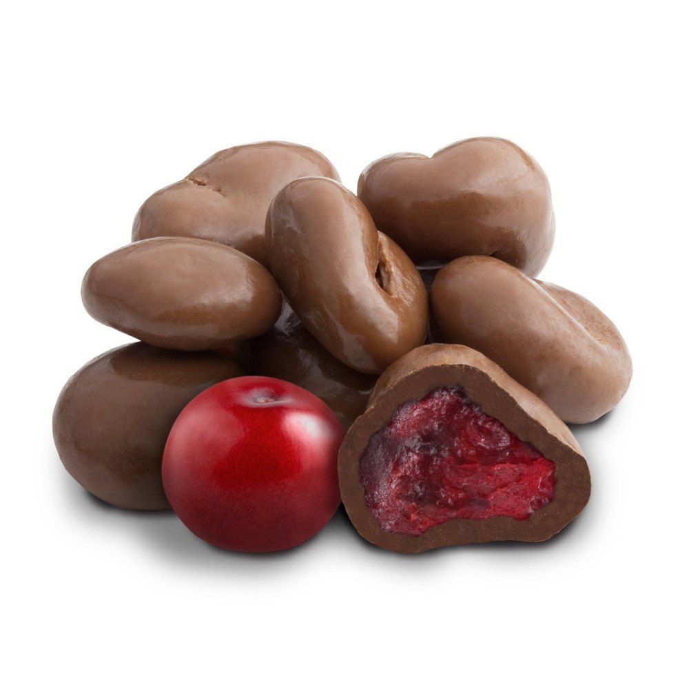 Fabbites Chocolate Coated Cranberry