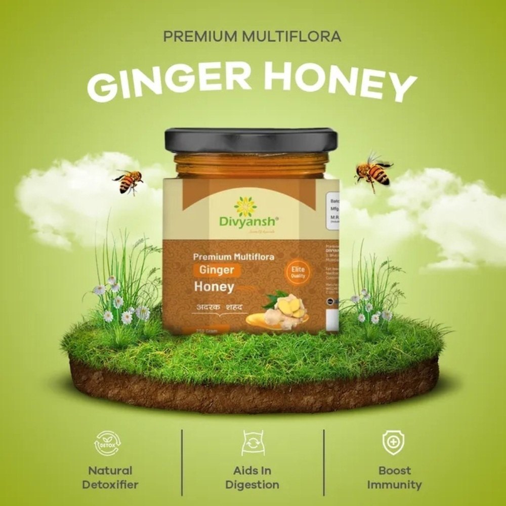 Divyansh Premium Multiflora Ginger Honey, 250 Gm