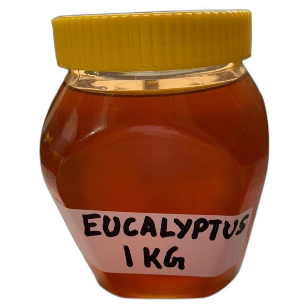1 Kg Eucalyptus Honey
