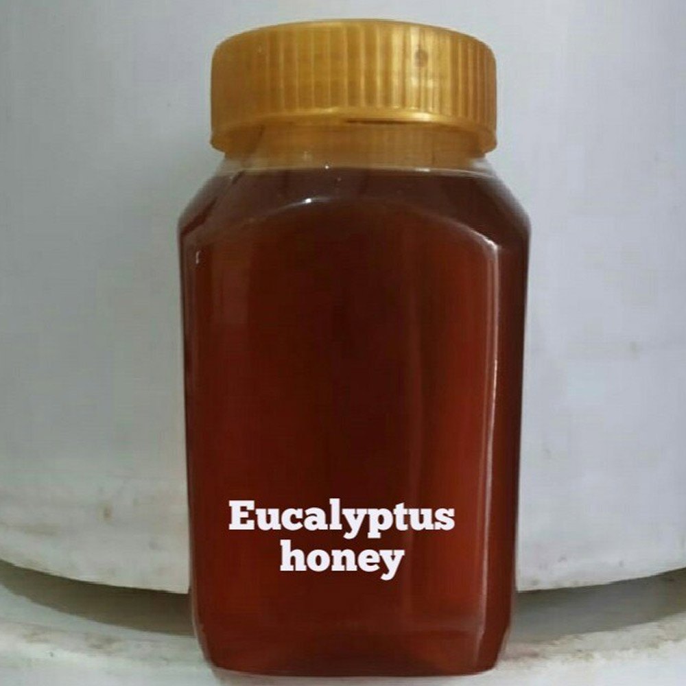 Raw Eucalyptus Honey