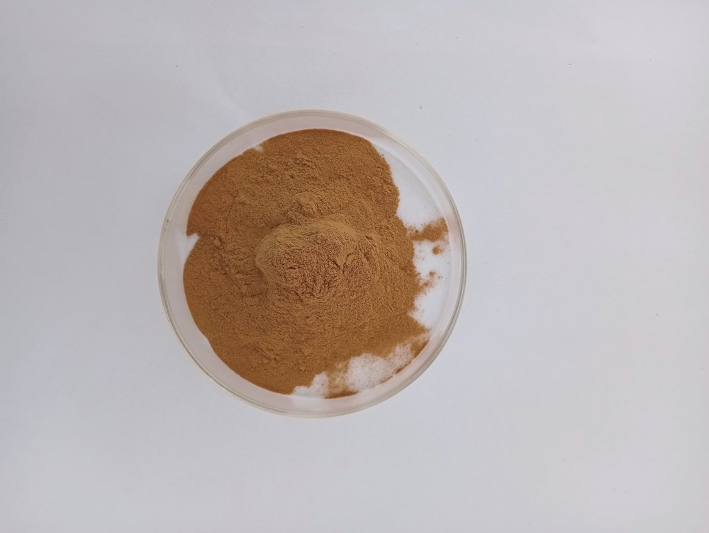 Light Brown Trikatu Extract Powder