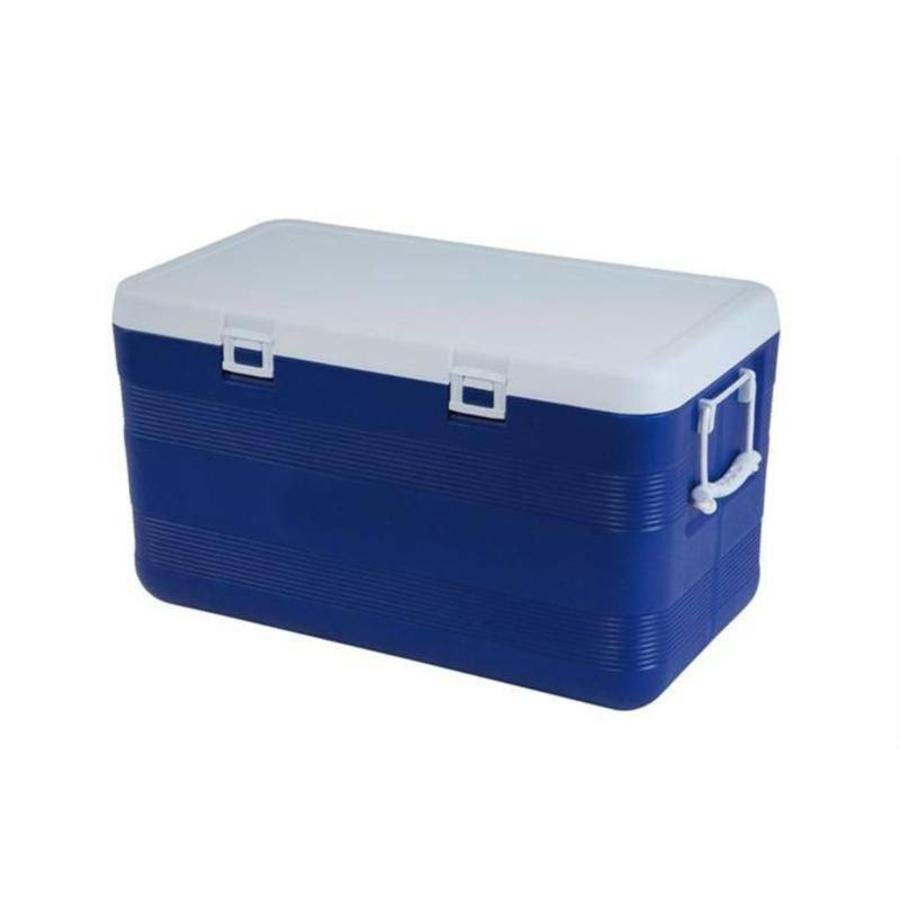 Blue Plastic Ice Storage Box, Capacity: 50 Ltr