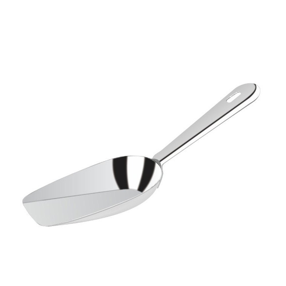Stainless Steel Scoop