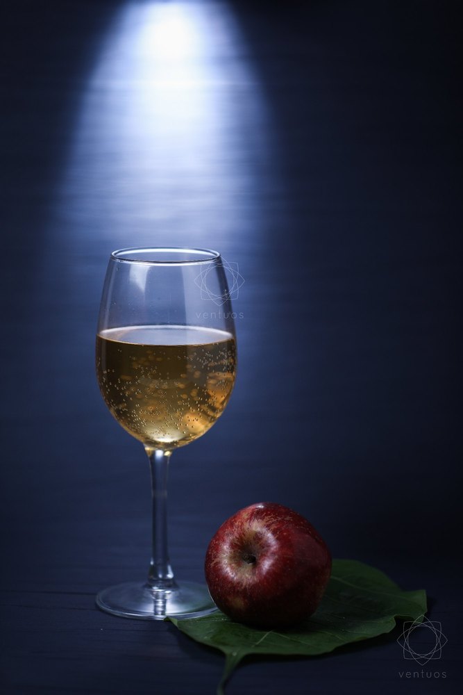 360ml White Wine Glass Transparent Glass