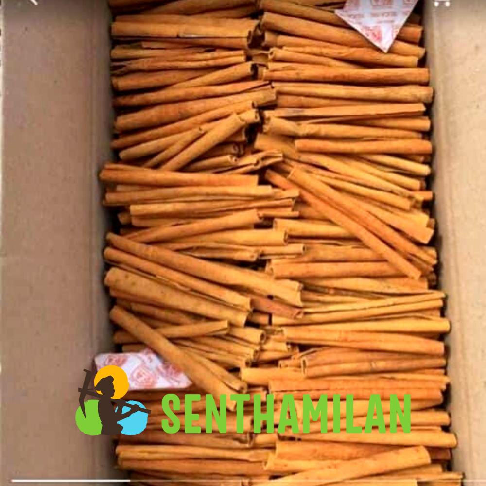Natural Cinnamon Roll (Dalchini)