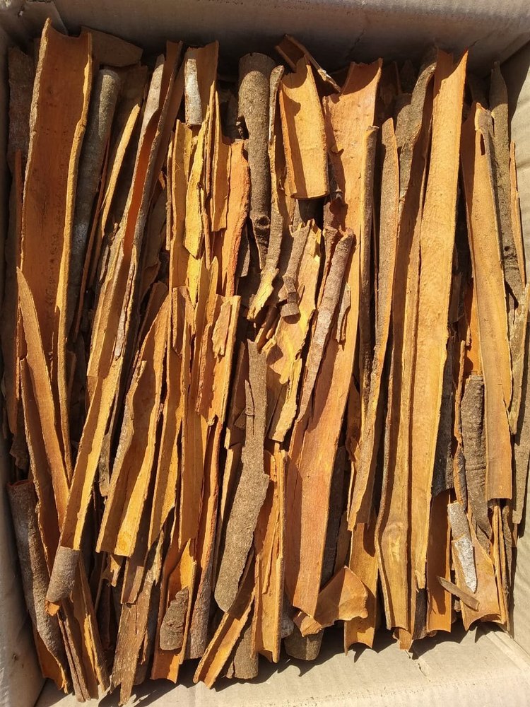 Cinnamon Split Taj, Packaging Type: Plastic Bag, Packaging Size: 1Kg