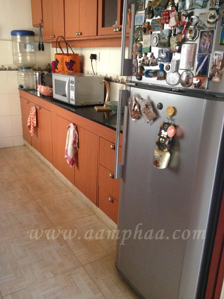 Modern Kitchen Remodeling Services