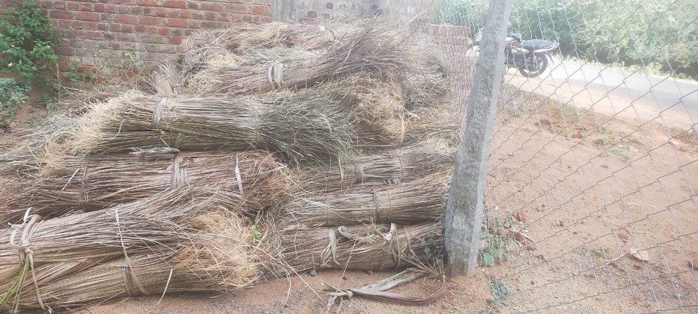Coconut Plastic Nariyal Jhadu