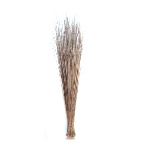 Coconut Brooms