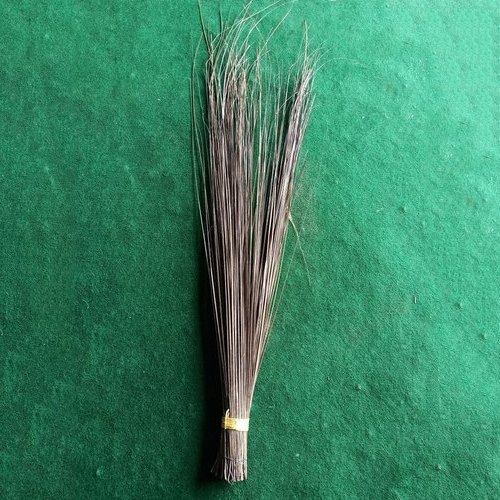 Coconut Hard Floor Broom