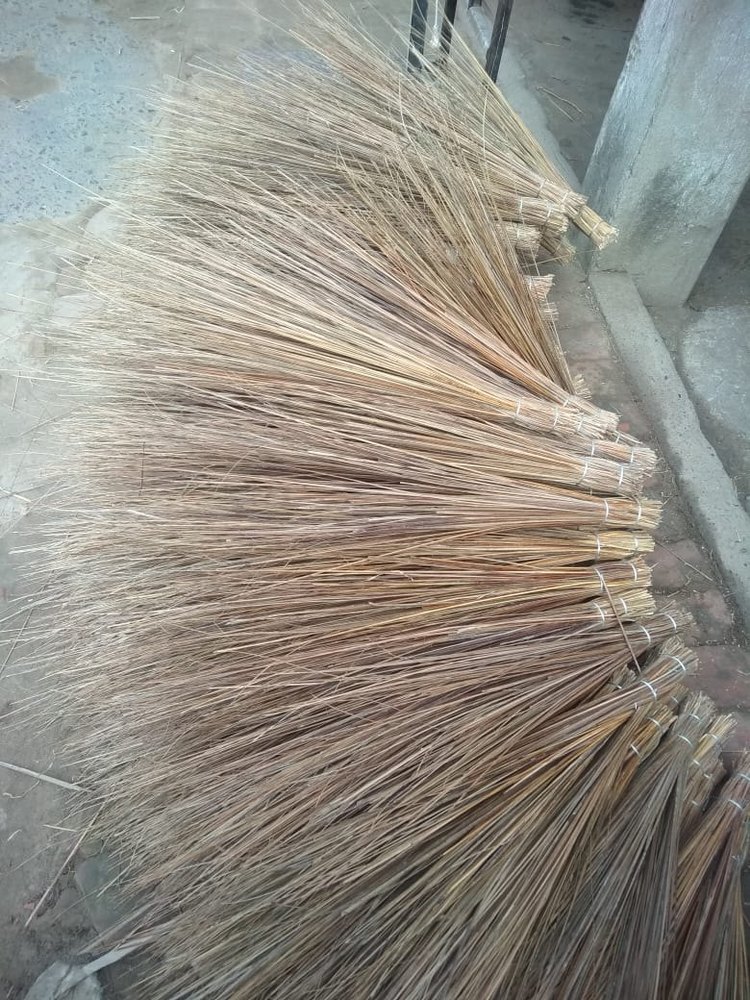 Coconut Broomstick Raw Material For Hard Broom