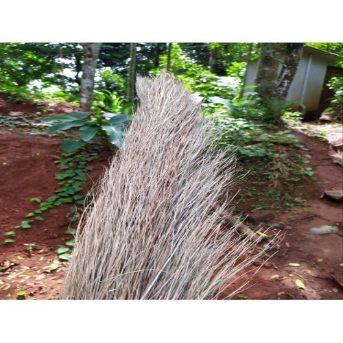 Vanasree Medium Handle Khajur Grass Broom For Cleaning, Size: 115 cm