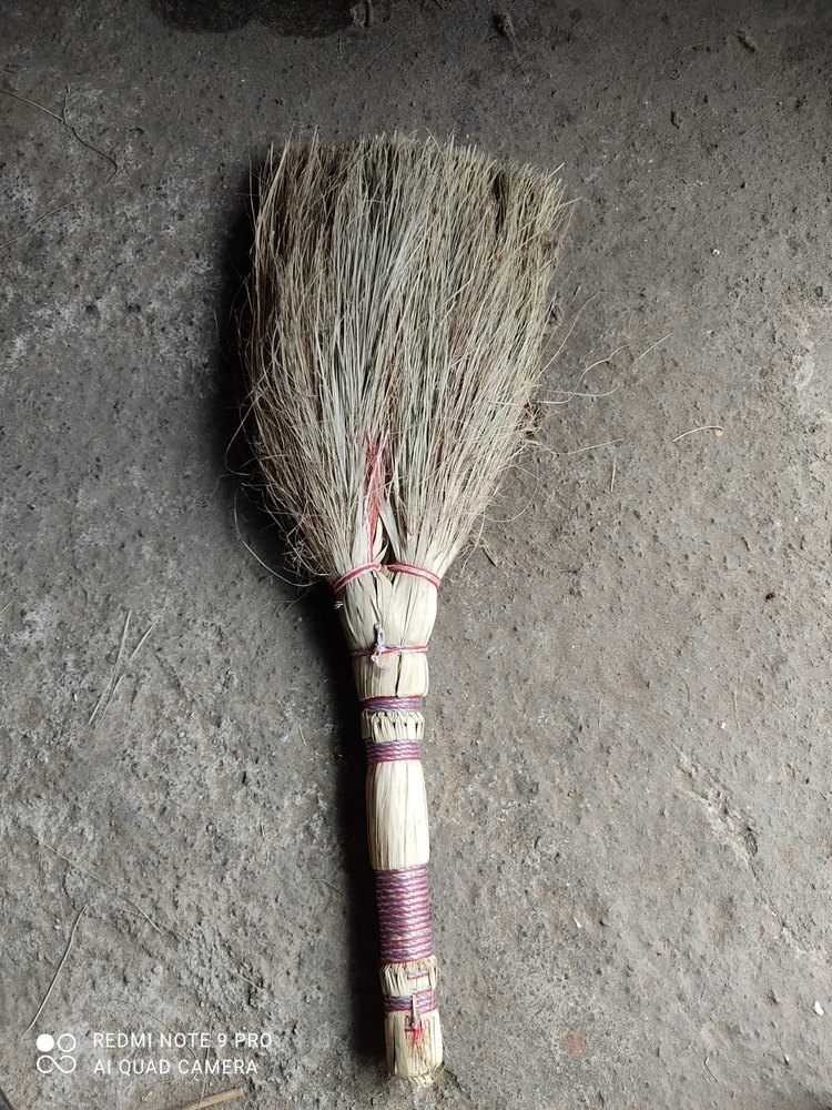 Plastic Raja Rani Khajur Floor Broom