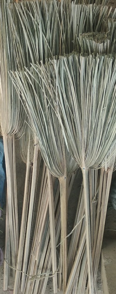 Palm Broom, Size: 100cm