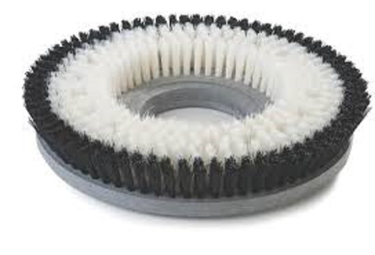 Soft White Carpet Shampooing Brush, Size: 17 Inches