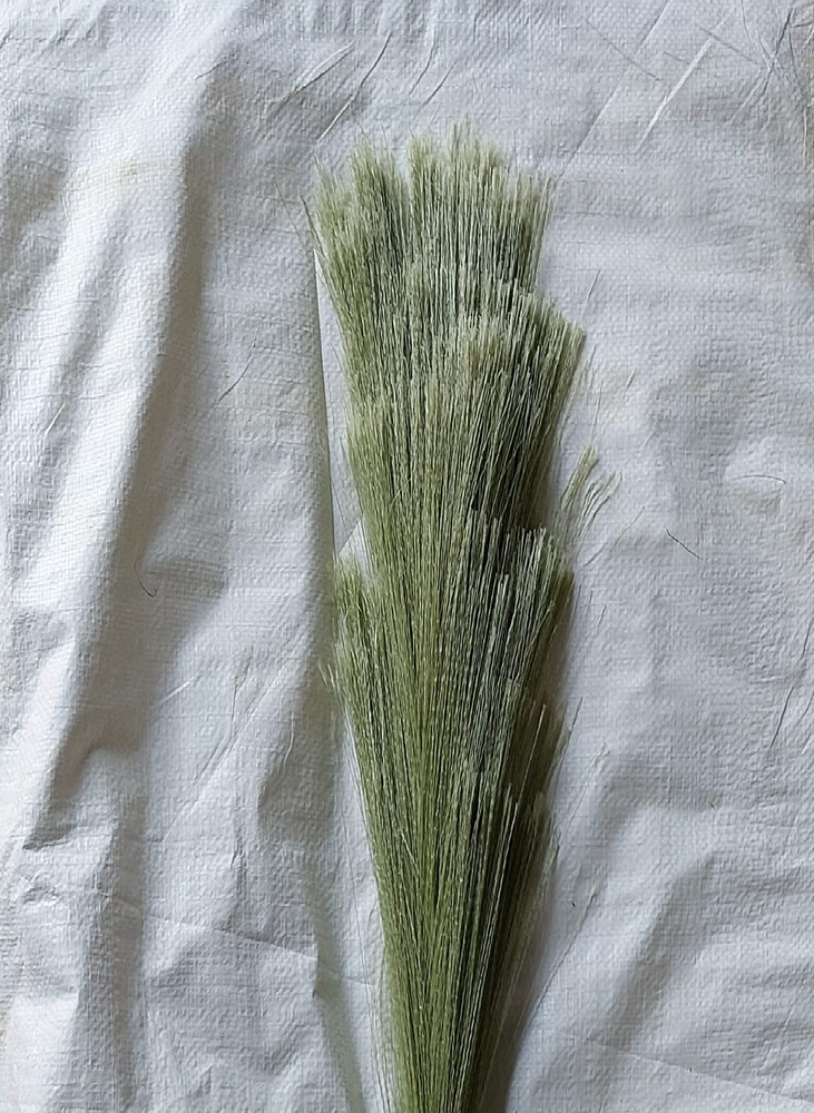 Green Plastic Broom Raw Material, Packaging Size: 100 kg